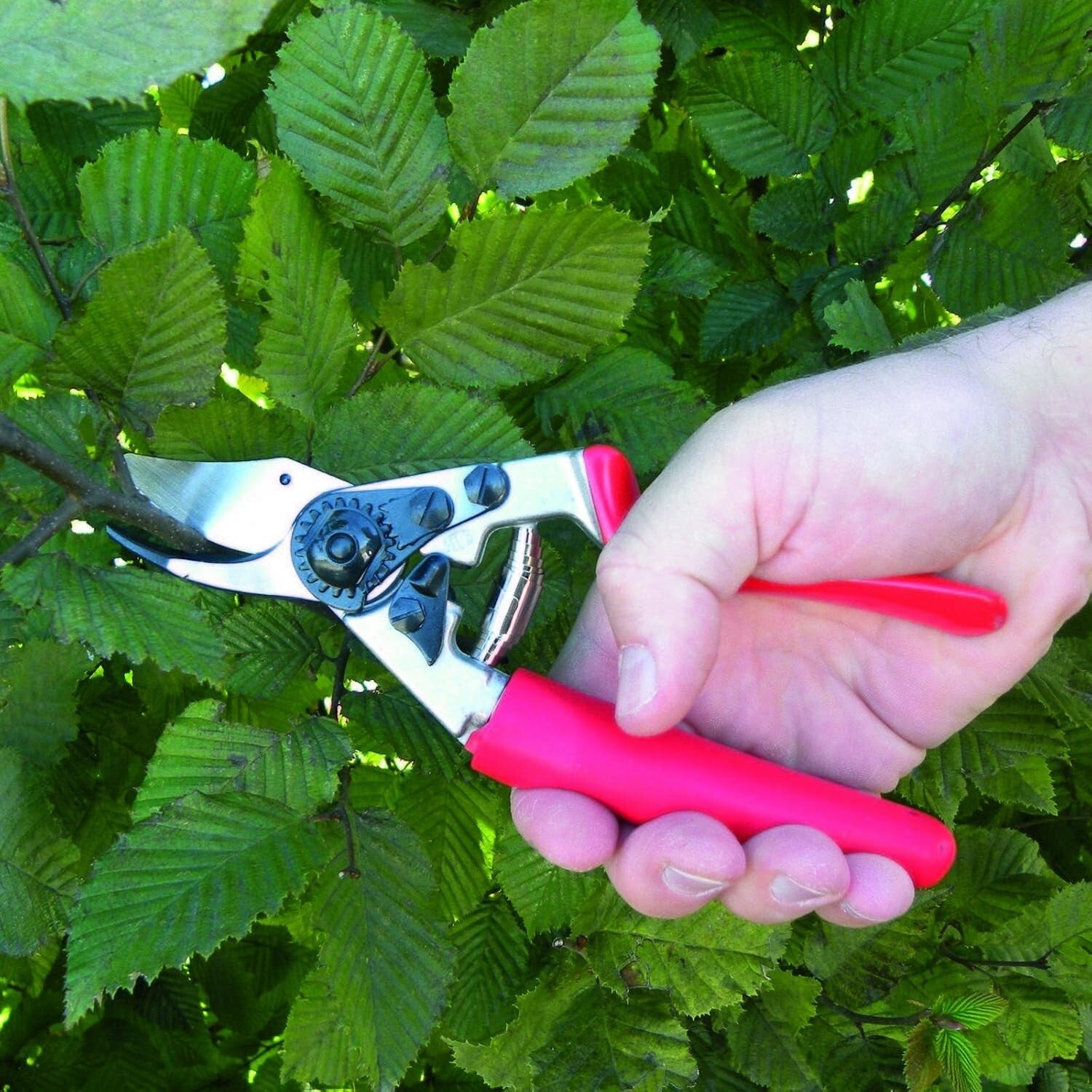 Lightweight Ergonomic Garden Scissors F 12 - Ideal for Detailed Pruning Tasks