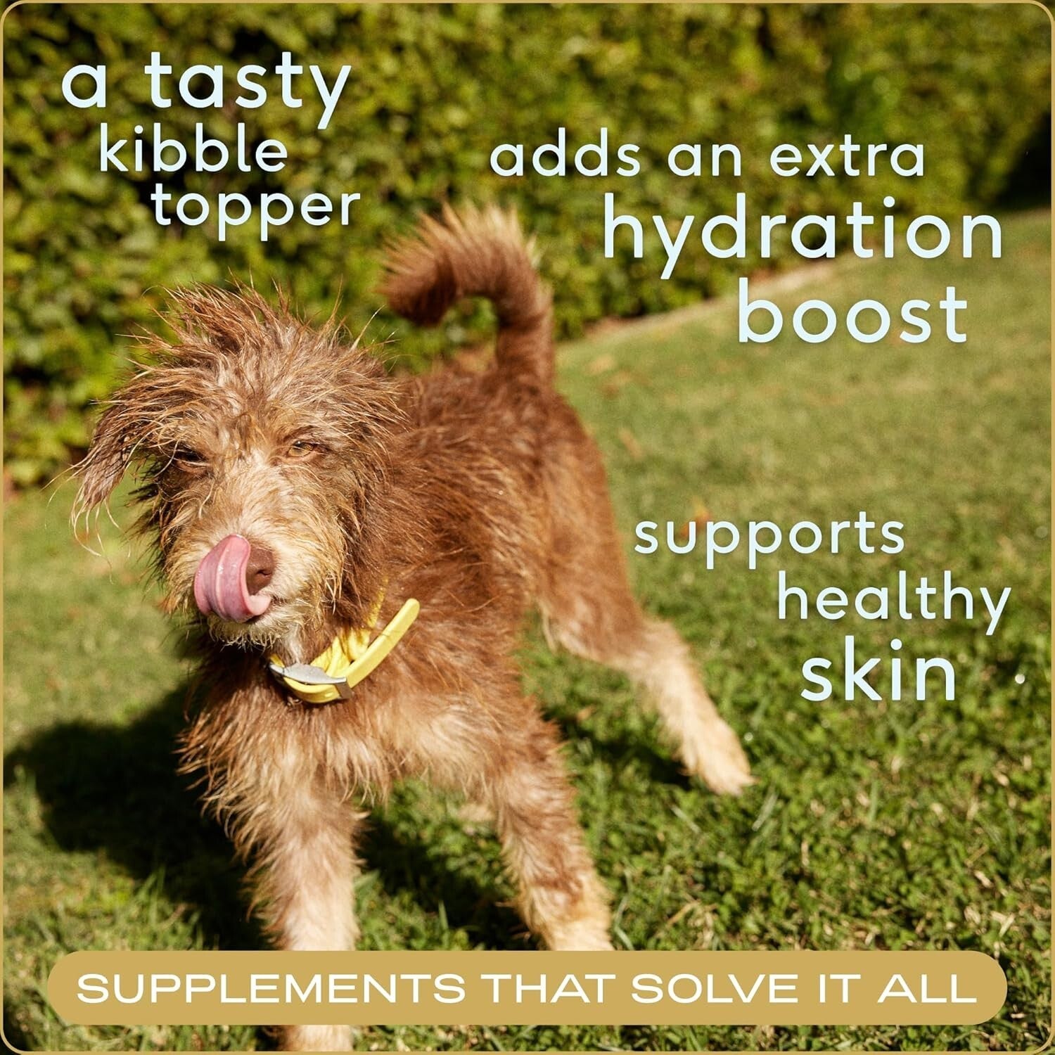 Nutritious Beef Bone Broth Powder for Dogs - 192 Servings, Joint Health Booster