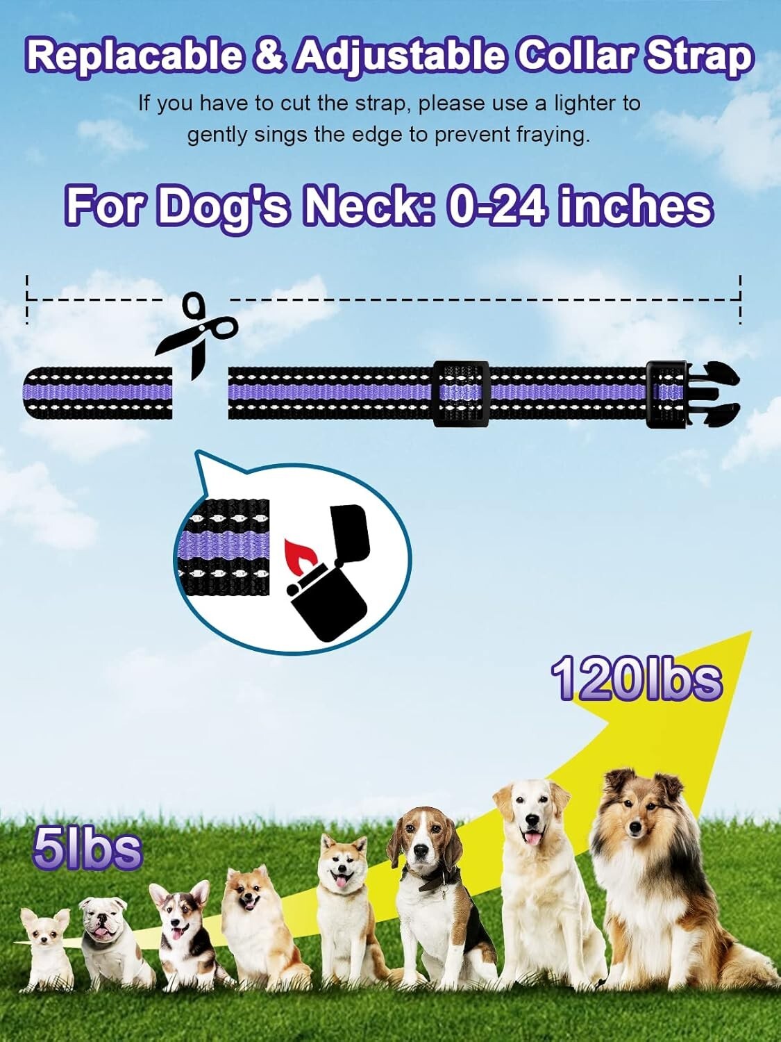 Rechargeable Dog Training Collar for 2 Dogs - 3 Modes, Waterproof Design