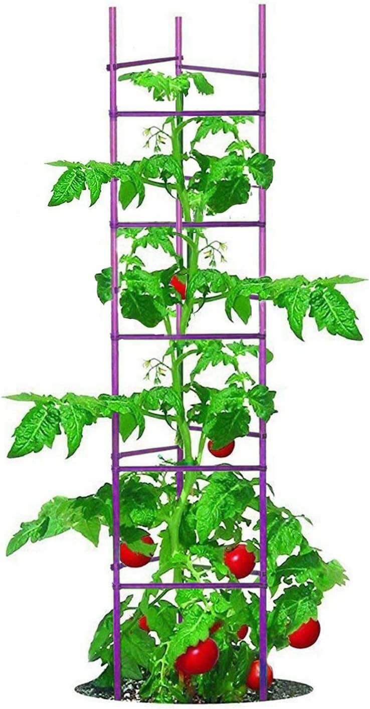 Triangular Tomato Cage Set - 73” Adjustable Garden Stakes for Plant Support