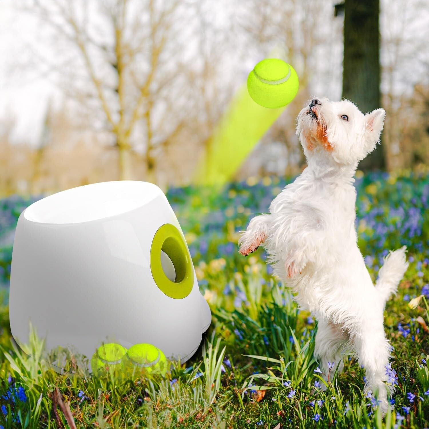Adjustable Distance Automatic Ball Launcher for Dogs - Ultimate Fetch Experience