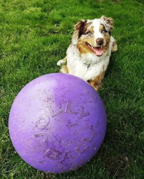 14-Inch Purple Push-N-Play Dog Ball: Durable, Floating Fun for Large Breeds