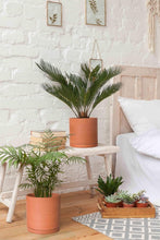 Load image into Gallery viewer, Handcrafted Terracotta Planters with Drainage and Saucer - Set of 3 Modern Pots