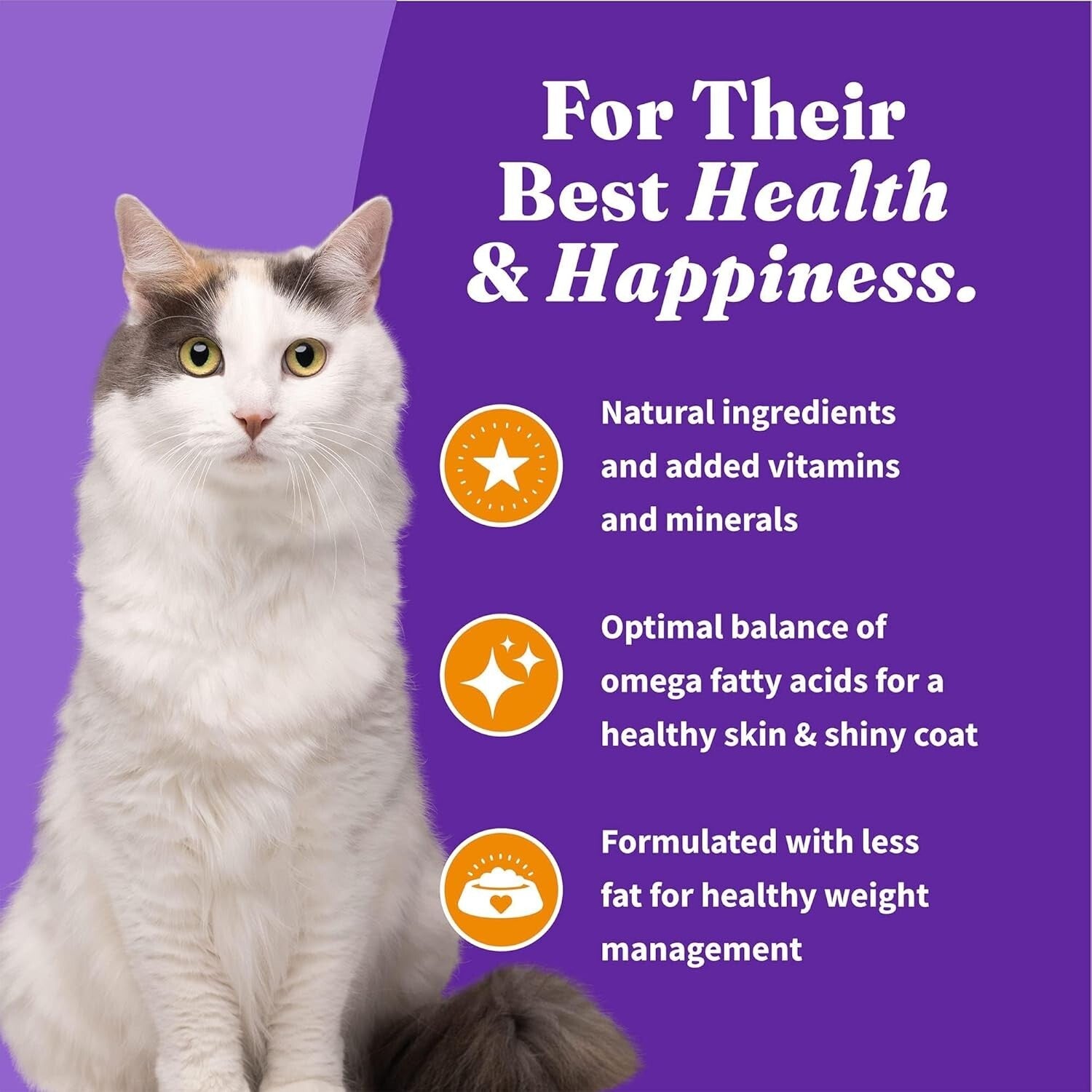 Premium Grain-Free Dry Cat Food with Added Vitamins - 10 lb for Optimal Health