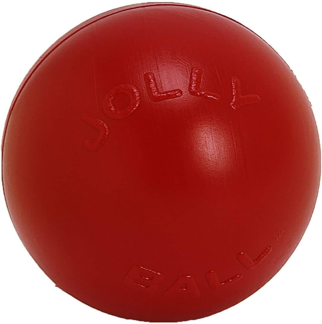 USA-Made Push-n-Play 14-Inch Dog Ball - Interactive Toy for Active Dogs