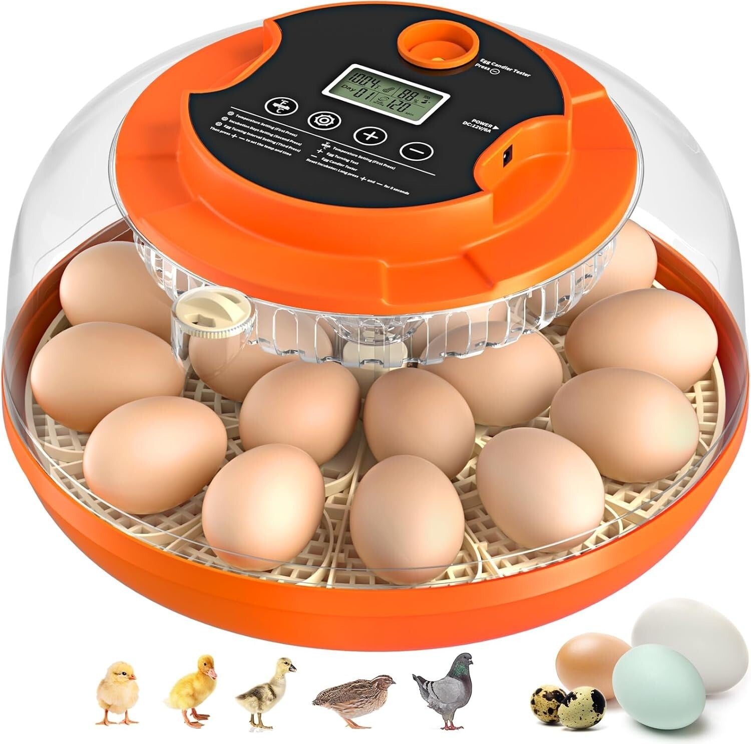 18 Egg Automatic Egg Incubator with Humidity Control - Perfect for Home and Farm