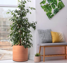 Load image into Gallery viewer, Handcrafted Terracotta Planters with Drainage and Saucer - Set of 3 Modern Pots