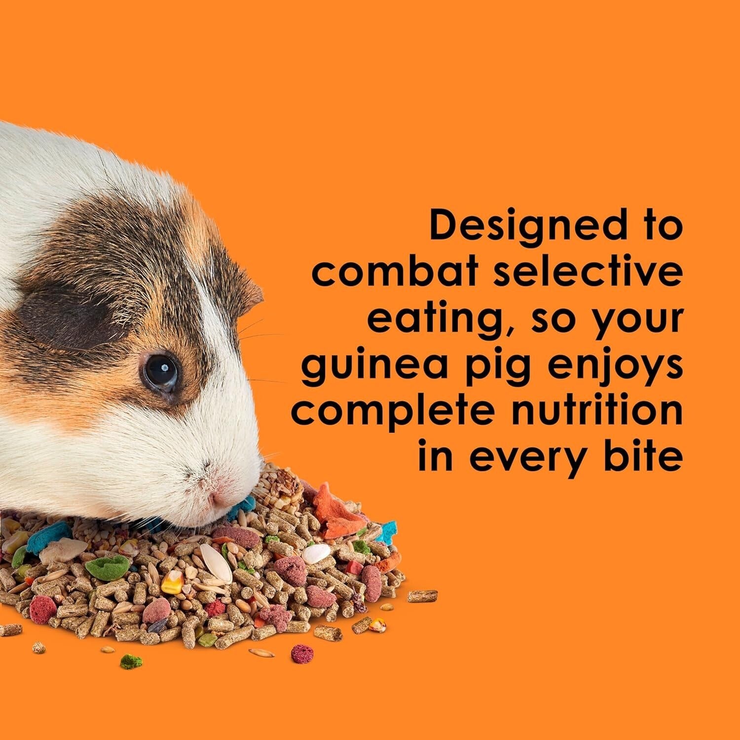 Fiesta Guinea Pig Food, Nutrient-Rich 25 lbs Blend for Dental Health & Digestion