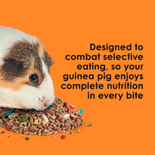 Load image into Gallery viewer, Fiesta Guinea Pig Food, Nutrient-Rich 25 lbs Blend for Dental Health &amp; Digestion