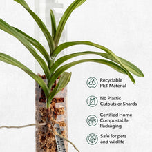 Load image into Gallery viewer, V3 Large Stackable Moss Poles - Transparent Plant Support for Climbing Plants