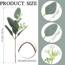 Load image into Gallery viewer, Premium 100 Pcs Eucalyptus Leaf Sprays with White Seeds for Versatile Home Decor