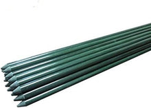 Load image into Gallery viewer, Lightweight 3ft Fiberglass Plant Support Stakes - 50-Pack for Easy Gardening