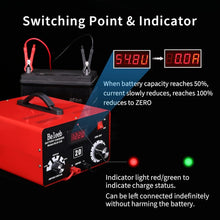 Load image into Gallery viewer, C20 Intelligent Battery Charger: Multi-Voltage 12V-48V with Overload Protection