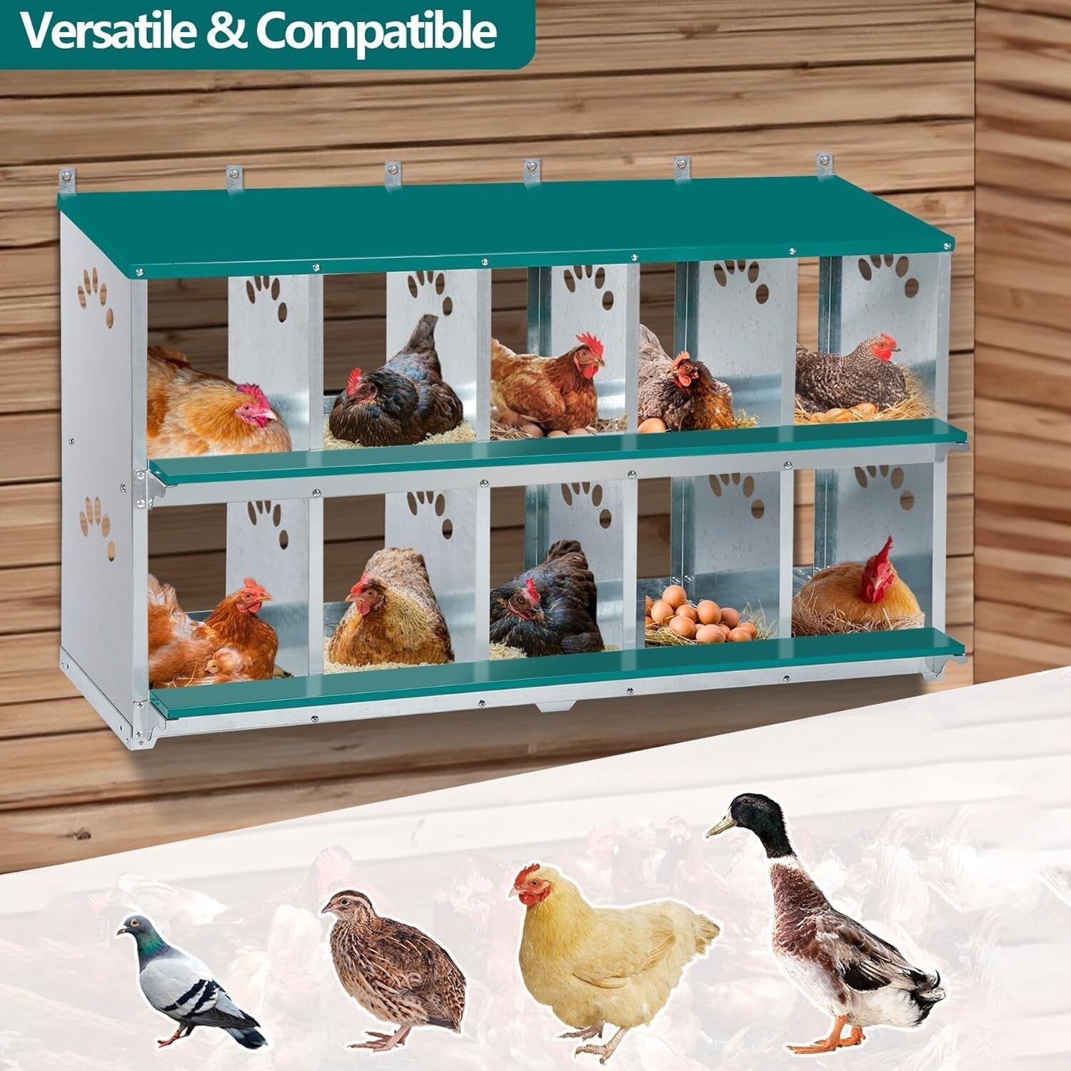 Safe & Easy Access 10 Compartment Chicken Nesting Box for Optimal Production