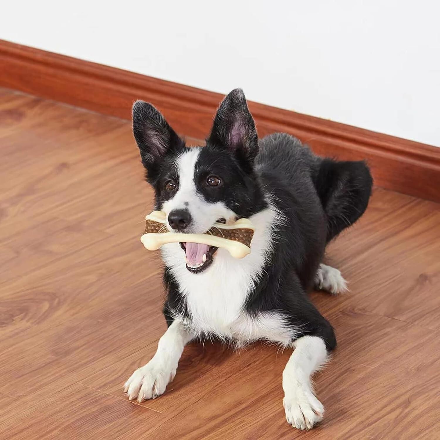 Durable Nylon Dog Bones - Ideal Chew Toys for Large/Medium Small Dogs