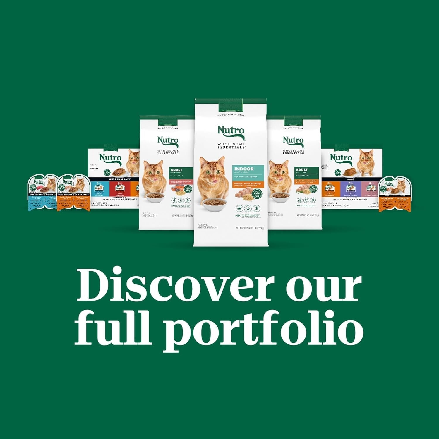 Grain-Free Chicken & Salmon Wet Cat Food - 24 Count Twin Pack for Adult Cats