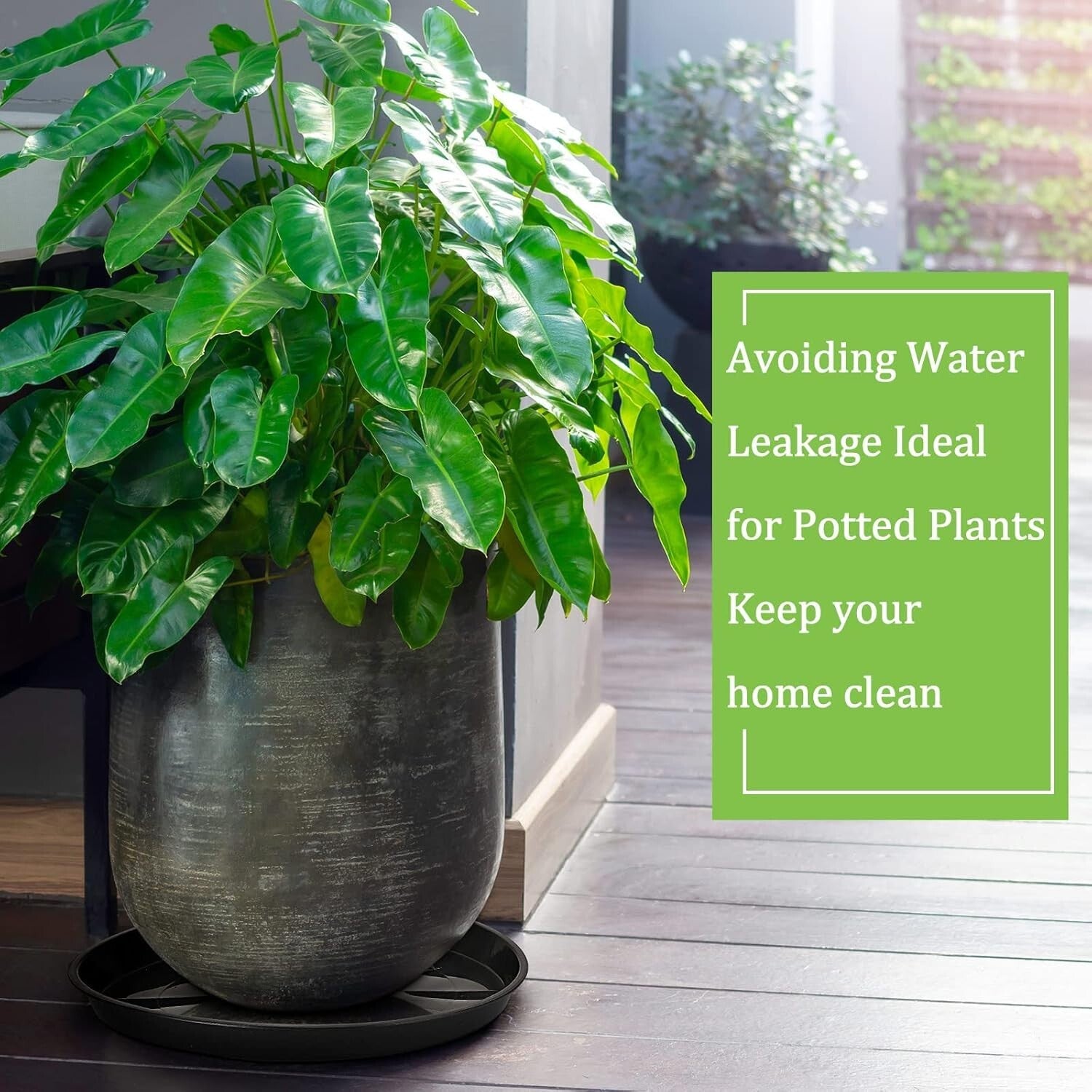 Elegant 12-Piece 18-Inch Round Plant Trays - Perfect for Indoors & Outdoors