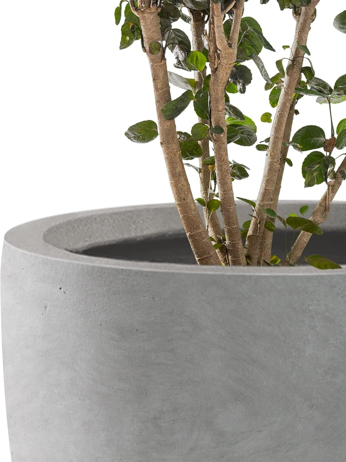 Elegant 18", 14", 10" Round Concrete Planters with Drainage for Home & Patio