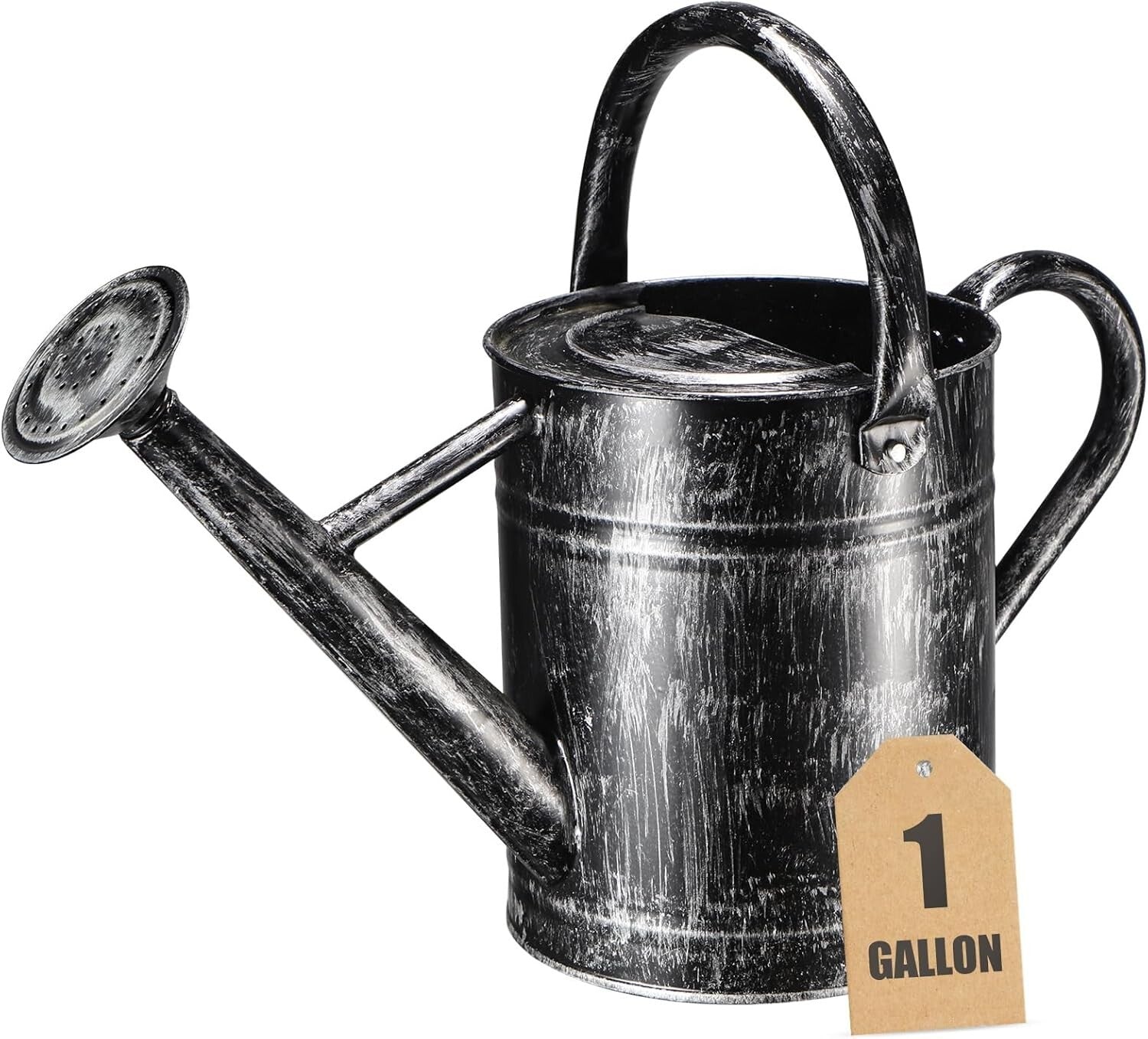 Elegant 1-Gallon Galvanized Steel Watering Can for Indoor & Outdoor Plants