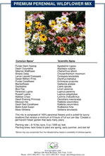 Load image into Gallery viewer, Organic Perennial Wildflower Seed Mix, 1 lb Shaker for Effortless Planting