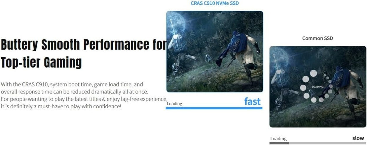 Ultra-Fast 1TB NVMe SSD CRAS C910 with Heatsink - Ideal for Gamers & Creators