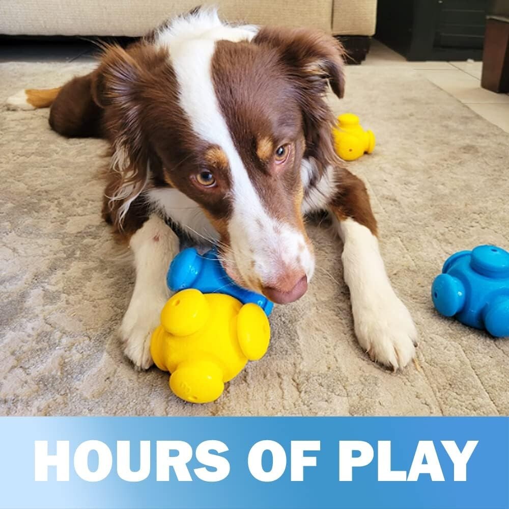 6-Piece Advanced Puzzle Treat Games for Busy Dogs - Brain-Stimulating Fun