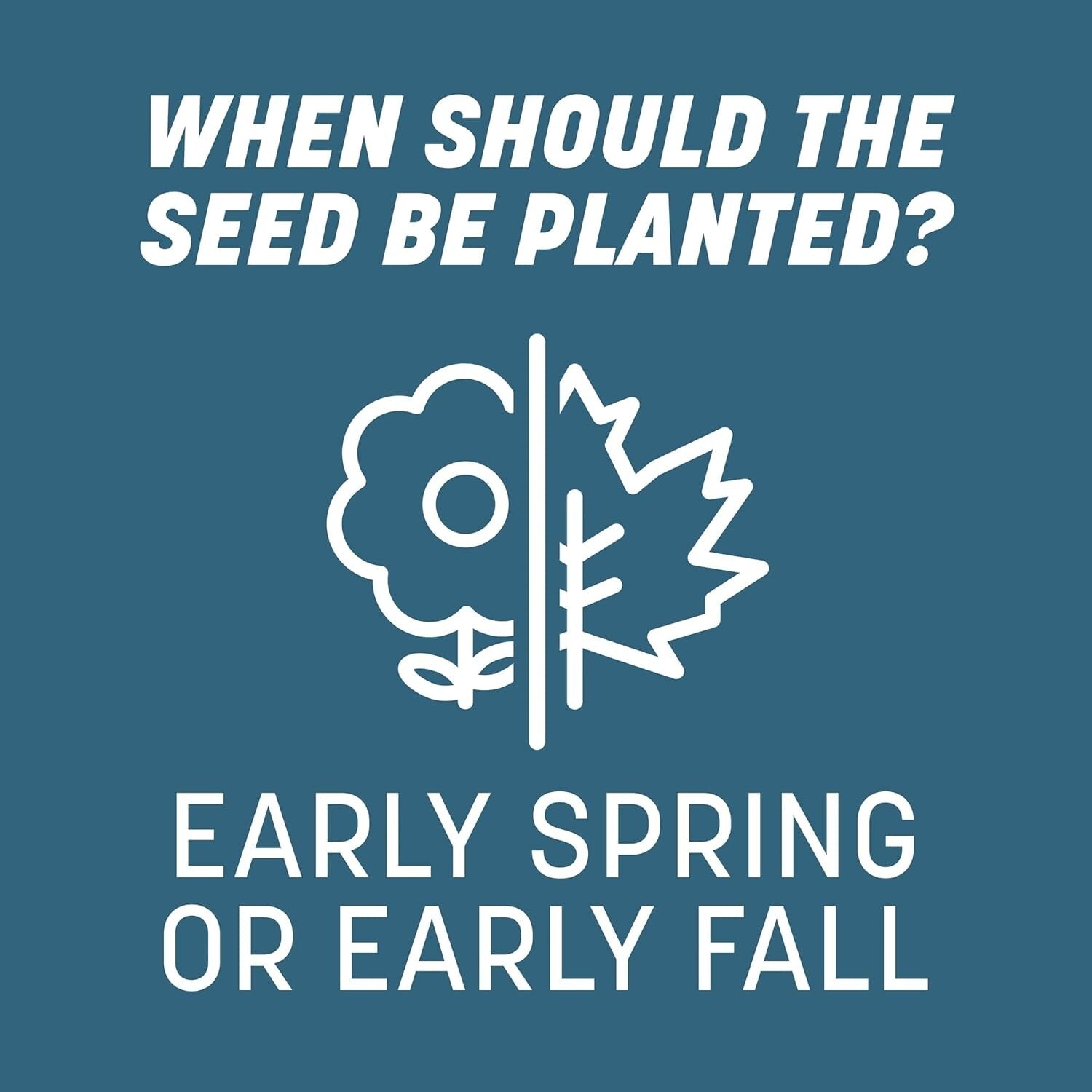 Premium 20 lb Smart Seed Mix: Kentucky Bluegrass & Ryegrass for Northeast Lawns