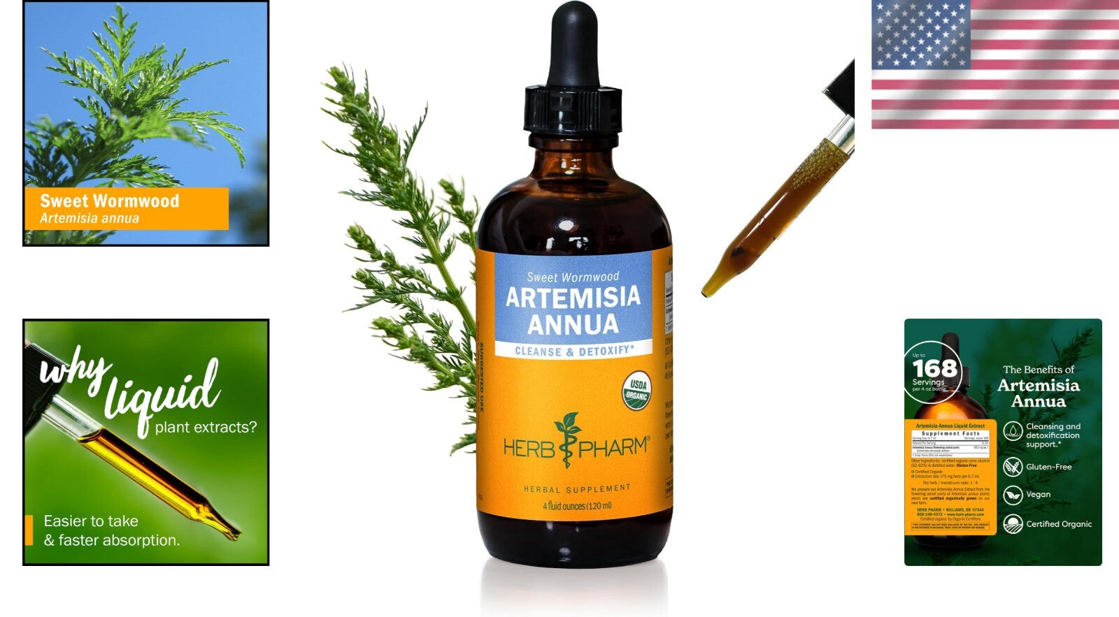 Expertly Crafted 4 oz Organic Sweet Annie Liquid Extract for Optimal Wellness