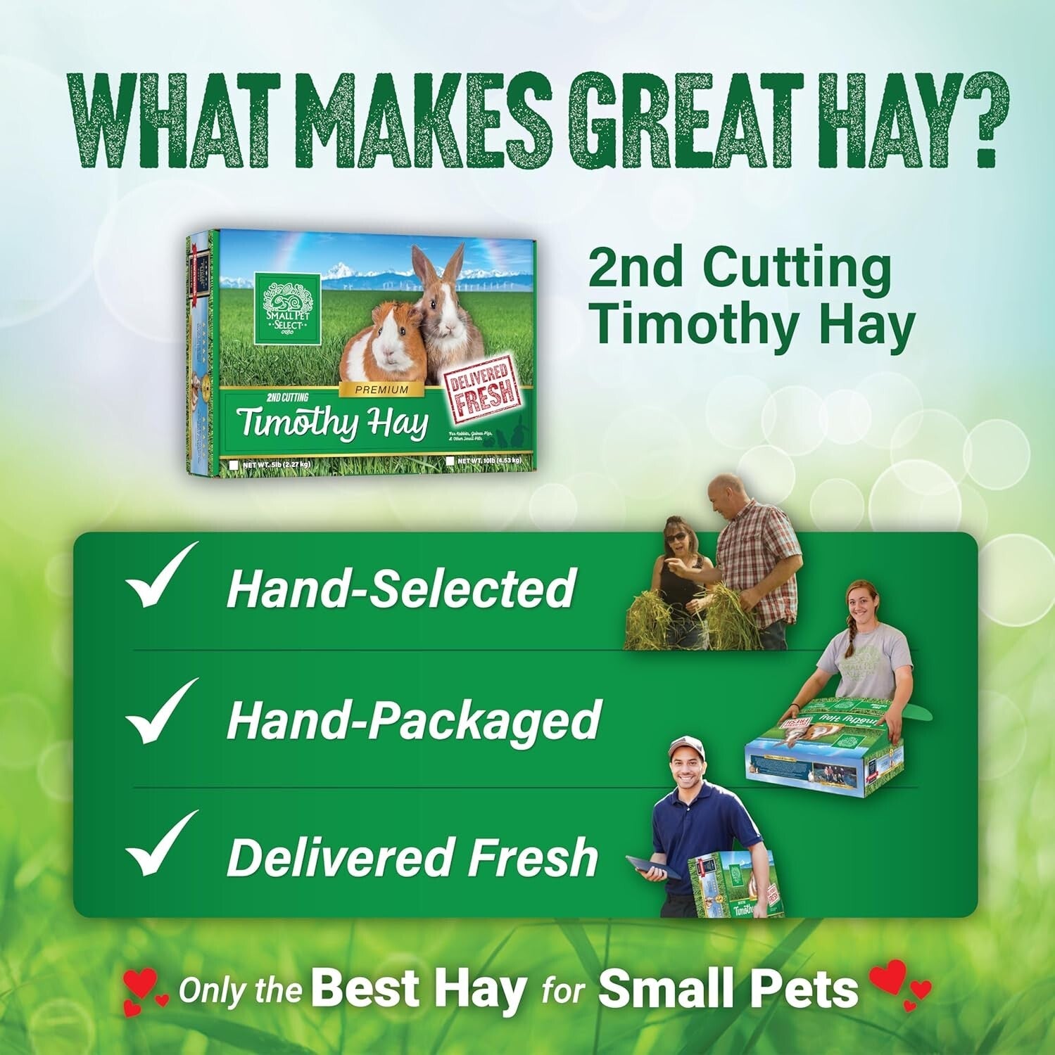 Fresh, Hand-Selected Timothy Hay for Small Pets - 12 LB, Ideal for Dental Health