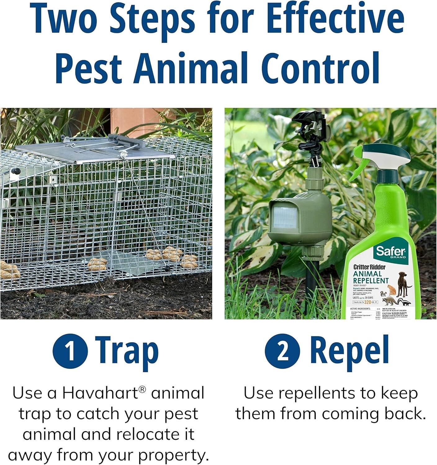 Humane Live Animal Trap 32"L - Secure Easy Set Design for Multiple Species