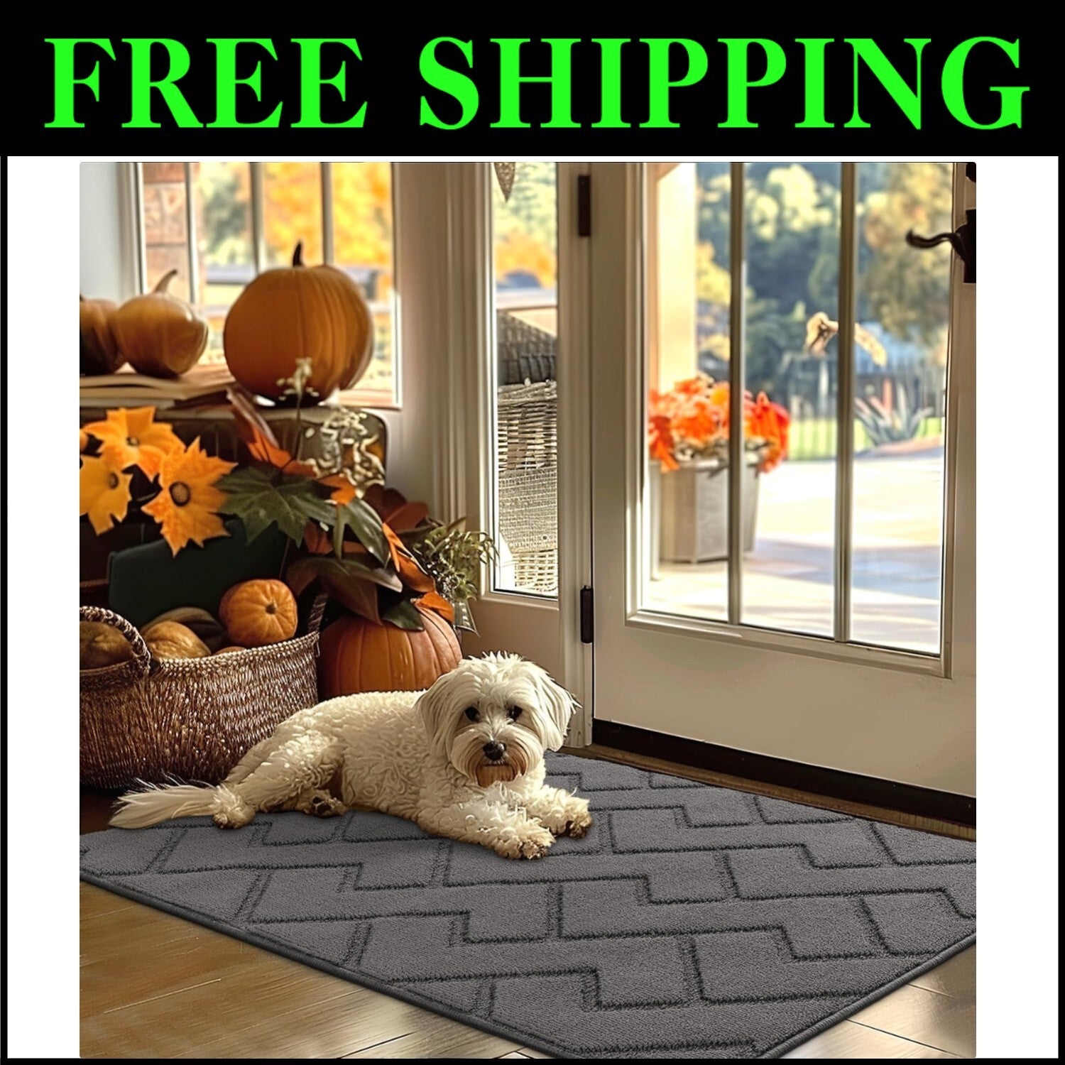 Moisture-Absorbent Grey Entryway Mat, 32"x48", Fade & Stain Resistant, Non-Slip