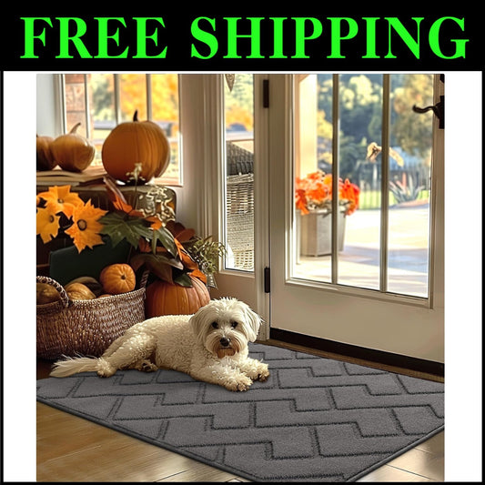 Moisture-Absorbent Grey Entryway Mat, 32"x48", Fade & Stain Resistant, Non-Slip