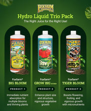 Load image into Gallery viewer, Organic Hydroponic Fertilizer Trio: Big Bloom, Grow Big &amp; Tiger Bloom - 3 Pack