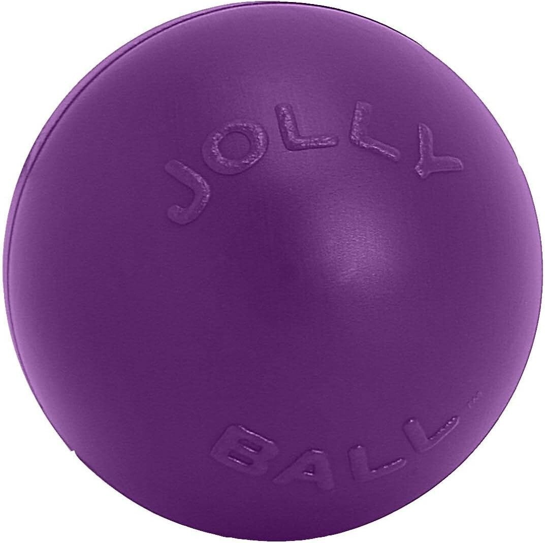 14-Inch Purple Push-N-Play Dog Ball: Durable, Floating Fun for Large Breeds
