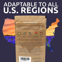 Load image into Gallery viewer, Bulk 1/4 Pound Bluebonnet Seeds - Over 4000 Fresh Wildflowers for Texas Gardens