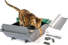 Load image into Gallery viewer, Innovative Smart Scoop Litter Box Bundle - Hands-Free, Odor-Free, Easy Clean