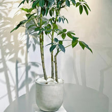Load image into Gallery viewer, Elegant 20lbs White Pebbles - Ideal for Landscaping, Planters &amp; Creative Decor