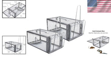 Load image into Gallery viewer, High-Sensitivity Live Chipmunk Traps with Auto Lock - Durable Metal Design