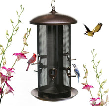 Load image into Gallery viewer, Hanging Wild Bird Feeder with Two Seed Compartments for Diverse Feeding
