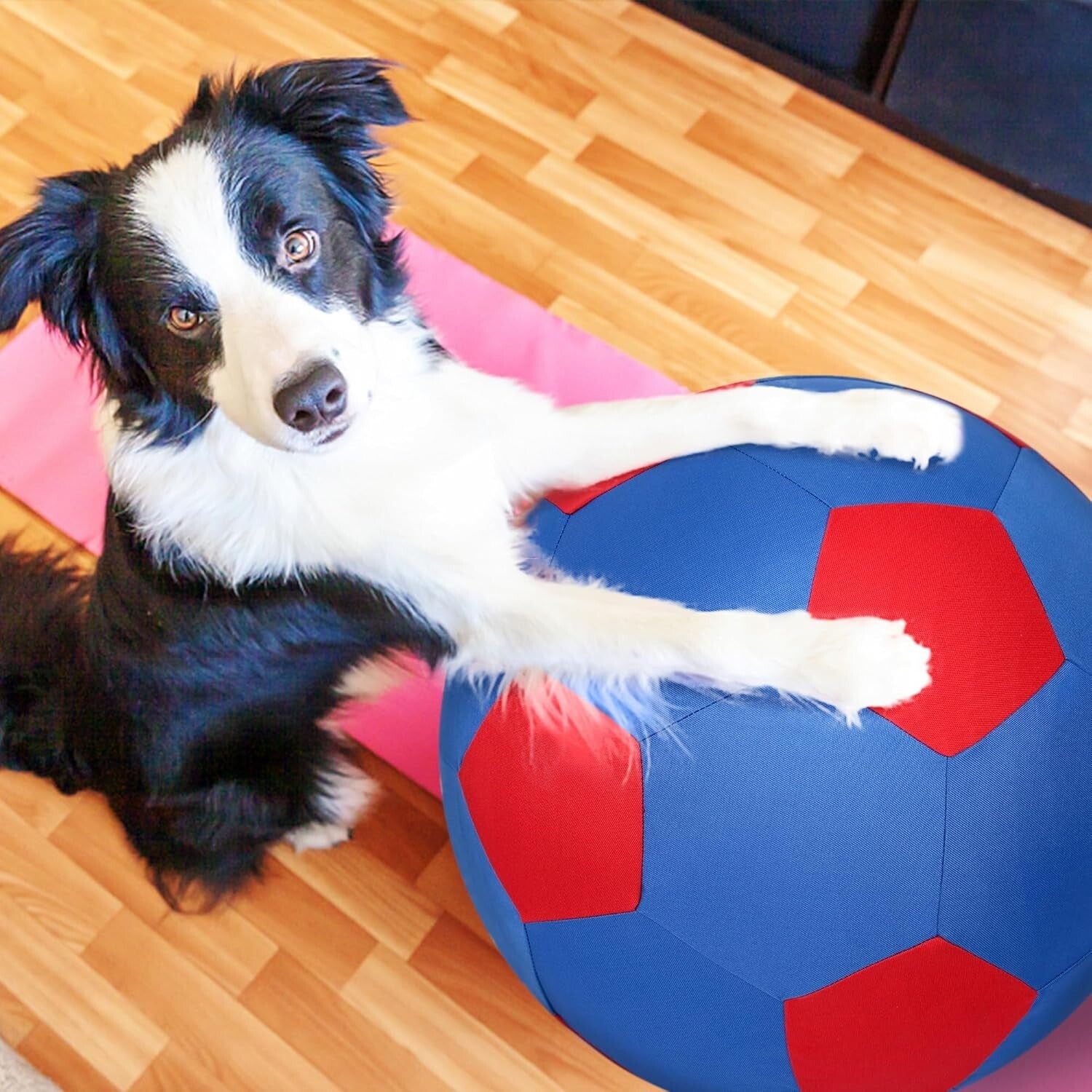 Durable 25" Herding Ball for Dogs & Horses with Washable Cover & Pump