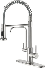 Load image into Gallery viewer, 3-in-1 Pull Down Kitchen Faucet with Integrated Drinking Water - Brushed Nickel
