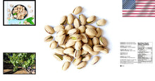 Load image into Gallery viewer, Bulk California Roasted &amp; Salted Pistachios - 25lbs of Healthy Snack Delight