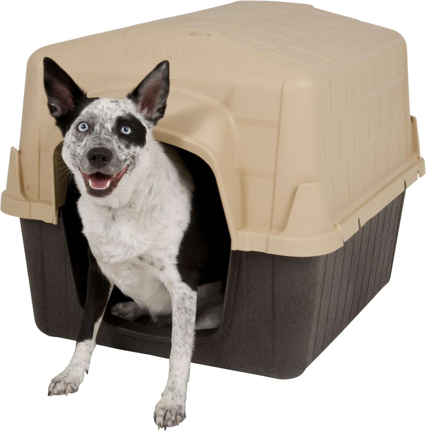 Weather-Resistant Aspen Pet Outdoor Dog House for Medium Breeds (25-50 lbs)