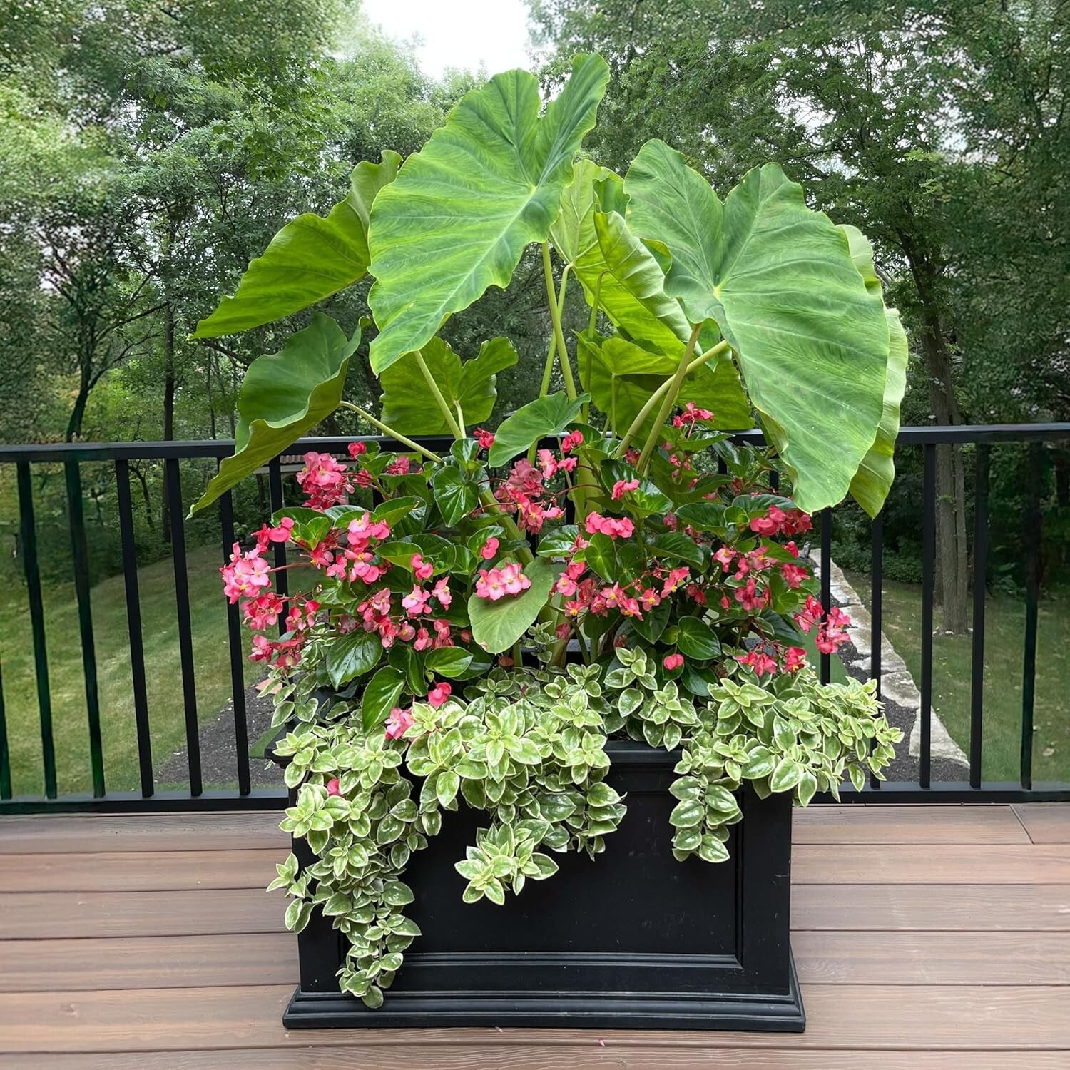 Self-Watering 20x36in Outdoor Planter with Built-In Water Reservoir - Black