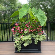Load image into Gallery viewer, Self-Watering 20x36in Outdoor Planter with Built-In Water Reservoir - Black