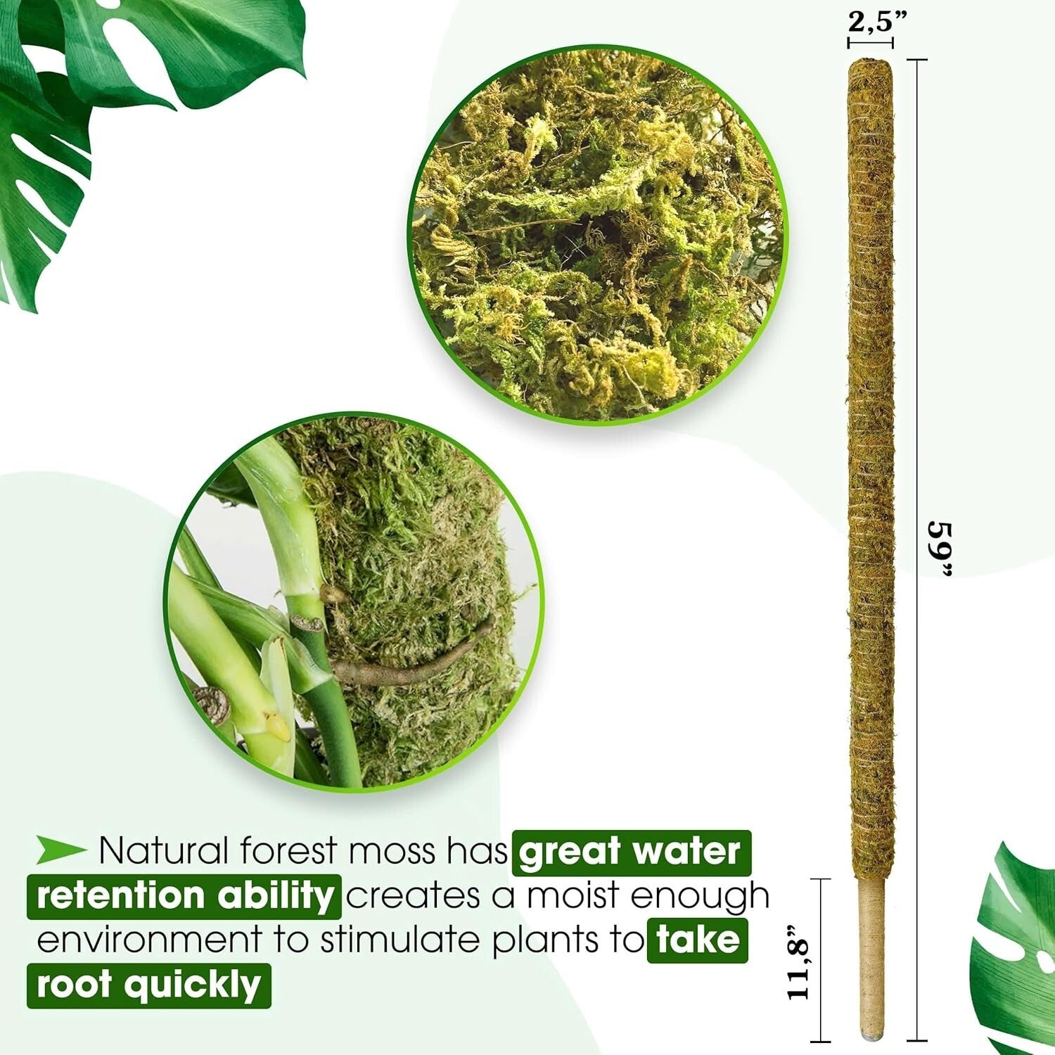 59'' Sturdy Moss Support Pole for Tall Plants - Perfect for Indoor Gardens