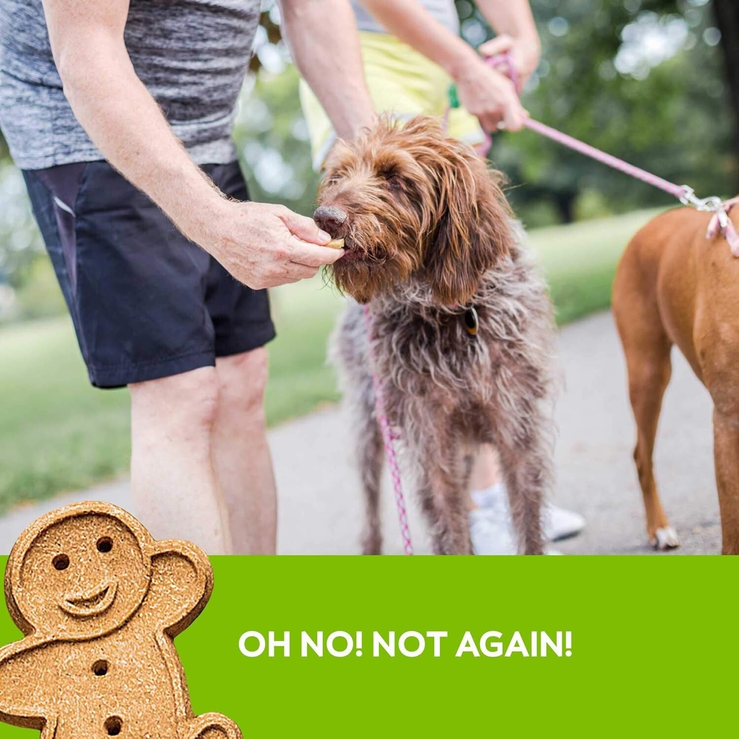 Premium Oven Baked Chicken Dog Treats - 1 lb for All Breeds, Crunchy & Delicious