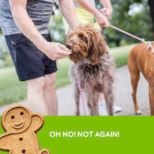 Load image into Gallery viewer, Premium Oven Baked Chicken Dog Treats - 1 lb for All Breeds, Crunchy &amp; Delicious