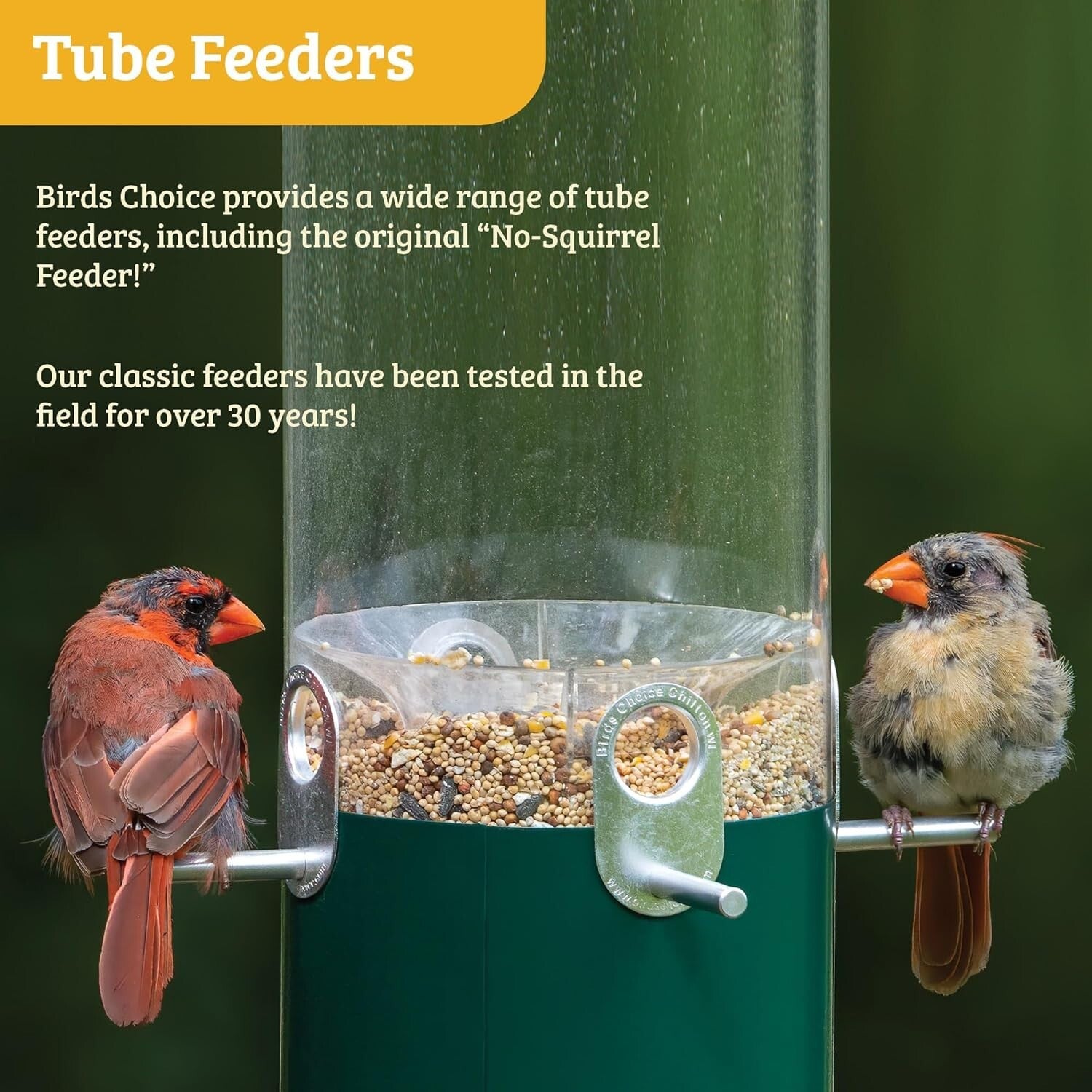 Elegant Weatherproof Bird Feeder with Weatherguard and Durable Aluminum Ports