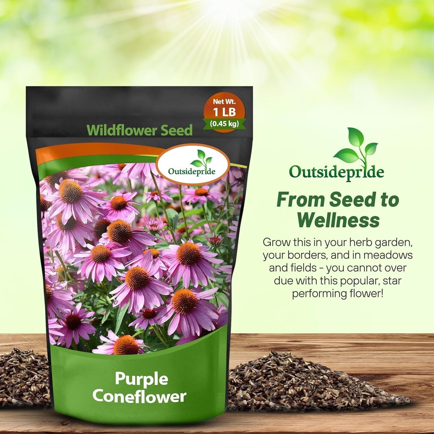 Purple Echinacea Flower Seeds - Deer-Resistant, Pollinator-Friendly Perennials